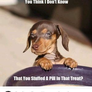 Meet your Posher, Dawn